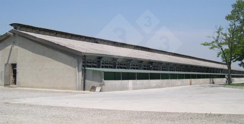 Side openings and continuous ridge for natural ventilation.
