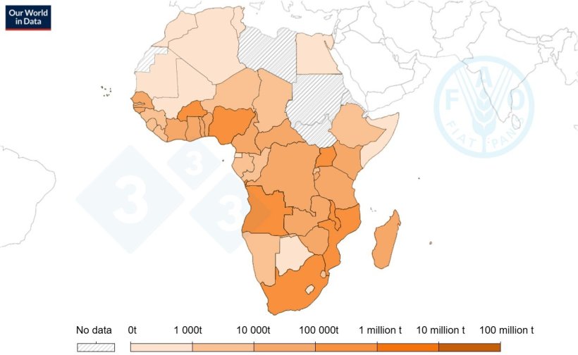 Pigmeat production in Africa, 2022. Source: Food and Agriculture Organization of the United Nations (2023)
