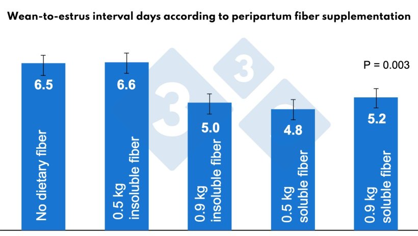Figure 4. Effects of fiber during the perifarrowing period on the wean-to-estrus interval. Adapted from Martínez, 2022.