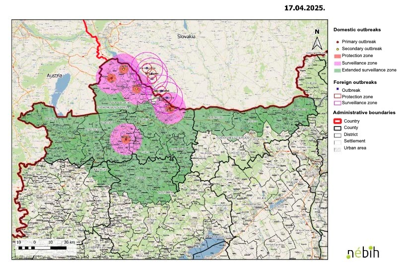 Outbreaks of foot and mouth disease as of April 17, 2025. Source: Nébih.