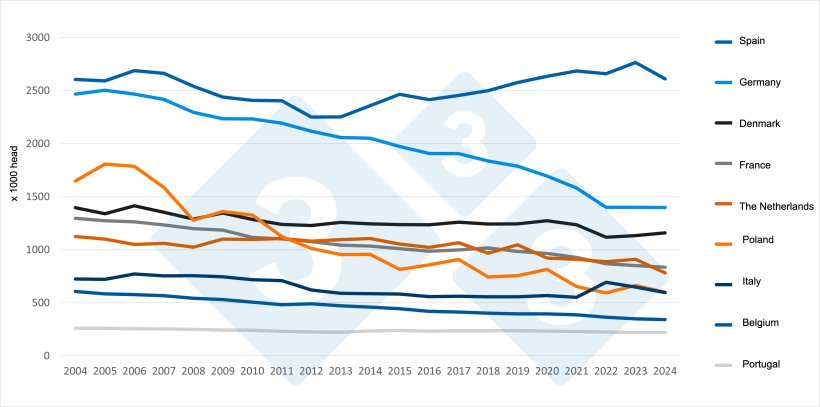 Evolution of the number of sows in the main EU producing countries (2004-2024). Source: 333 based on Eurostat data.