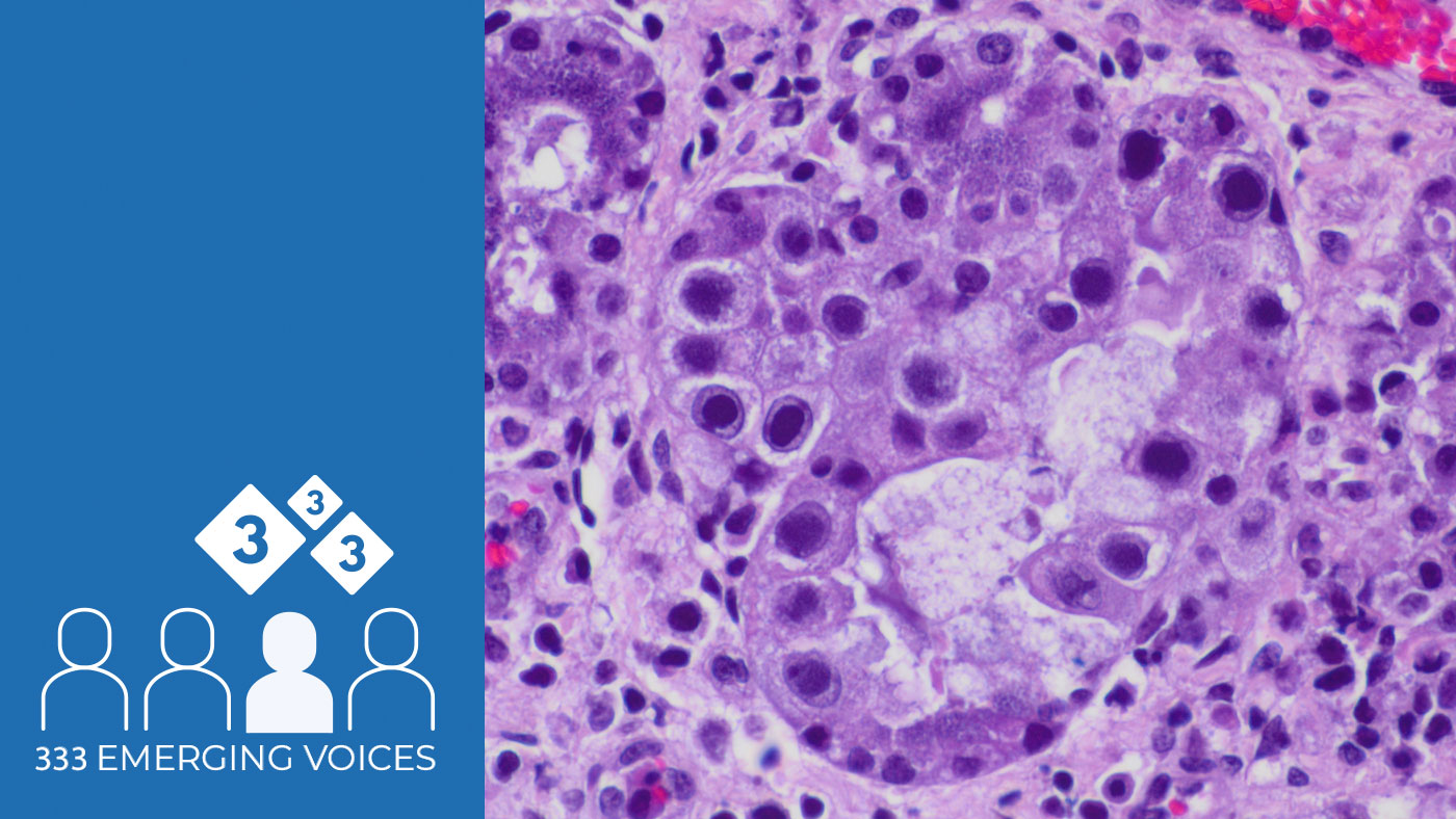 Pathological findings in pigs affected by inclusion body rhinitis ...