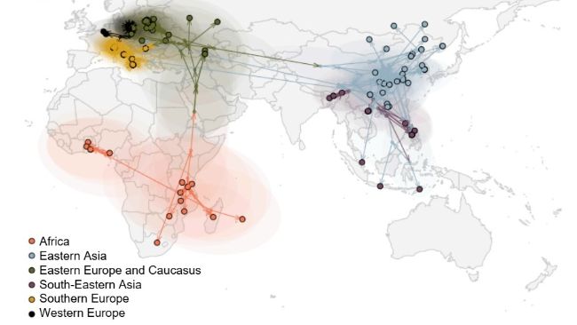 Figure 2. Global spread of the ASF virus (Rossi et al. bioRxiv 2025).
