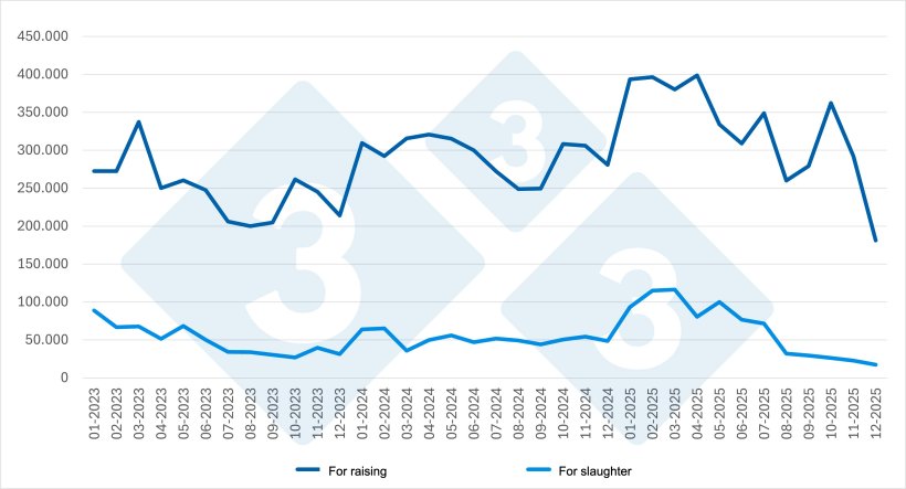 Graph 3. Evolution of monthly imports by category (2023-2025). Source: 333 based on MAPA data.