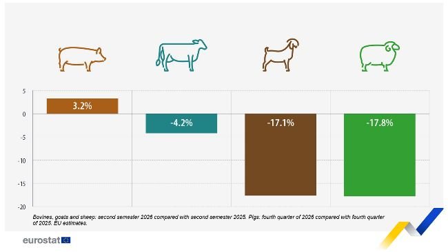 Forecast change in the production of animals in the EU, selected periods 2026 compared with 2025 (%)