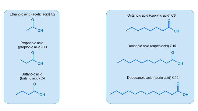 Figure 1. Structure of the SCFAs and MCFAs most commonly used in swine nutrition.
