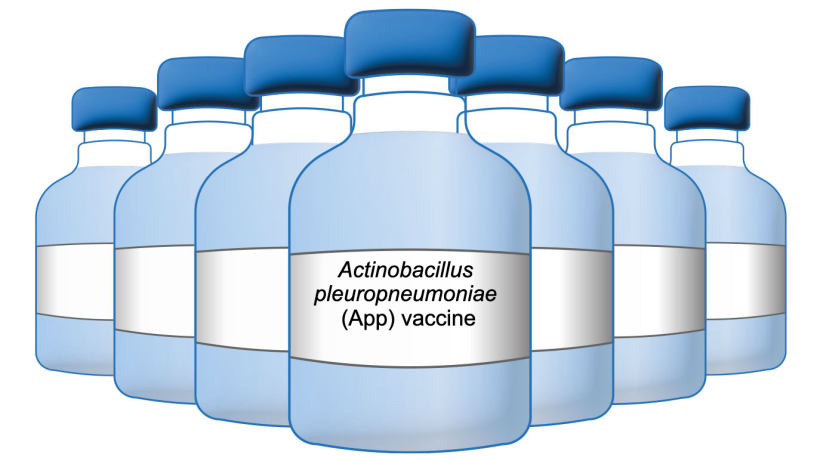 App vaccine
