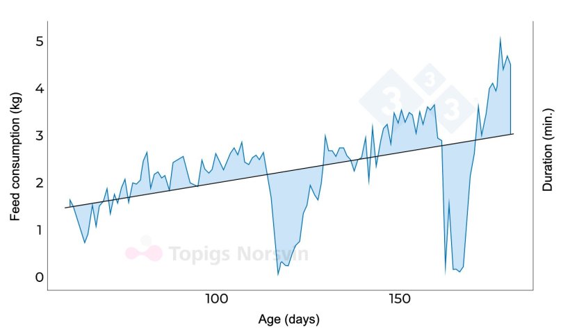 Figure&nbsp;2. Example of a graphical representation of variation in daily intake. Adapted from Putz et al., 2019.
