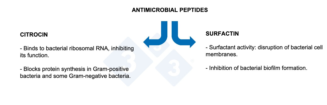 <p>Figure 3.&nbsp;Properties of antimicrobial peptides.</p>
