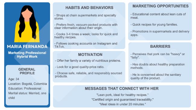 Figure&nbsp;1. Example of a buyer persona.
