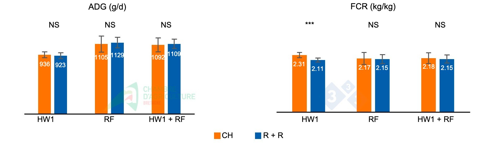 <p>Figure 1. ADG and FCR during the first heat wave of batch 1 (HW1), during the subsequent refeeding phase (RF), and the cumulative values for both phases (HW1 + RF).</p>