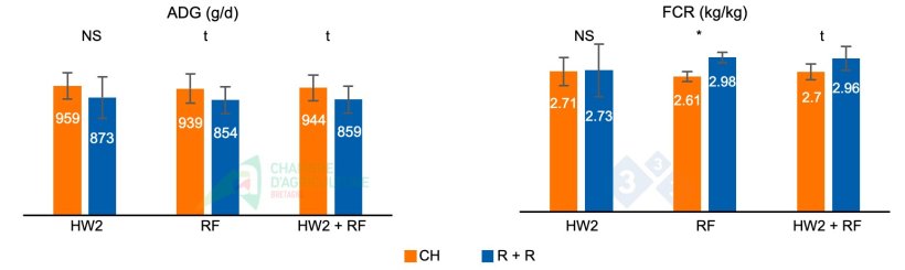 Figure 2. ADG and FCR during the second heat wave of batch 1 (HW2), during the subsequent refeeding phase (RF), and the cumulative values for both phases (HW2 + RF).