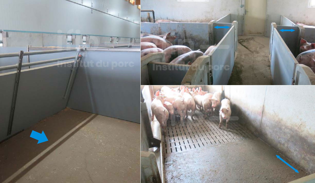 <p>Left: An angled partition to facilitate movement and increase resistance to animals pushing against it. Right: The size of the resting area can be adjusted to accommodate the size of the animals by moving a partition.</p>