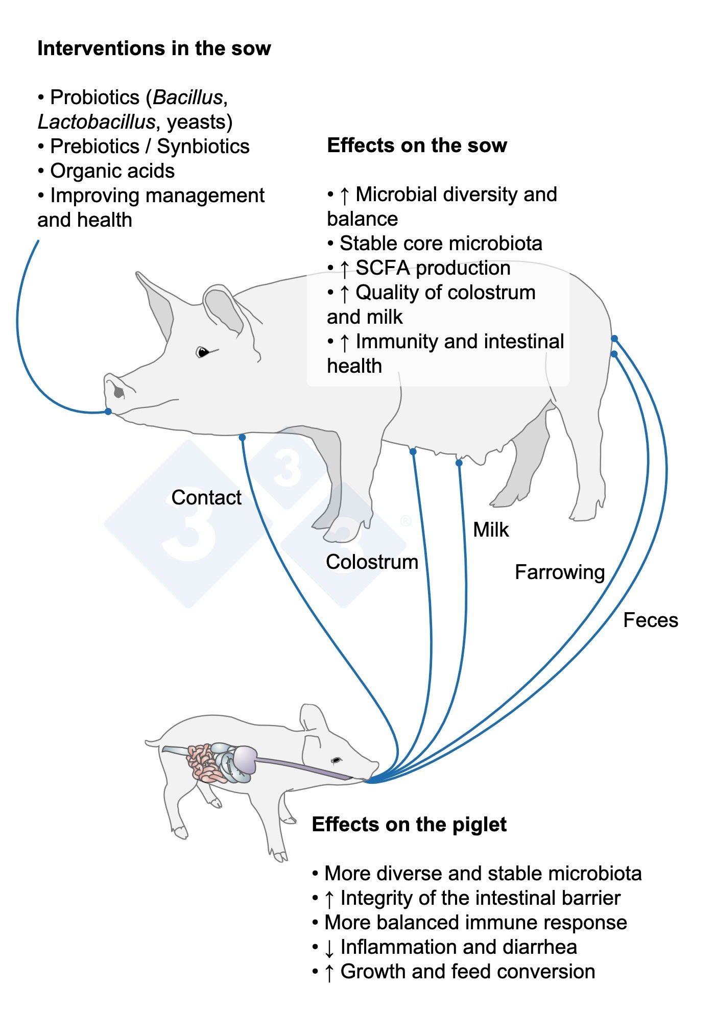<p>An intervention in the dam can transform the microbiome and immune response of her progeny.</p>