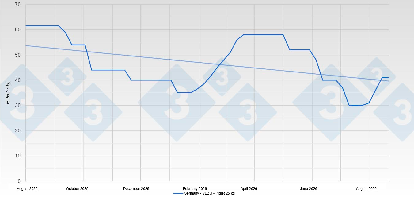Piglet price in Germany - VEZG - 25 kg