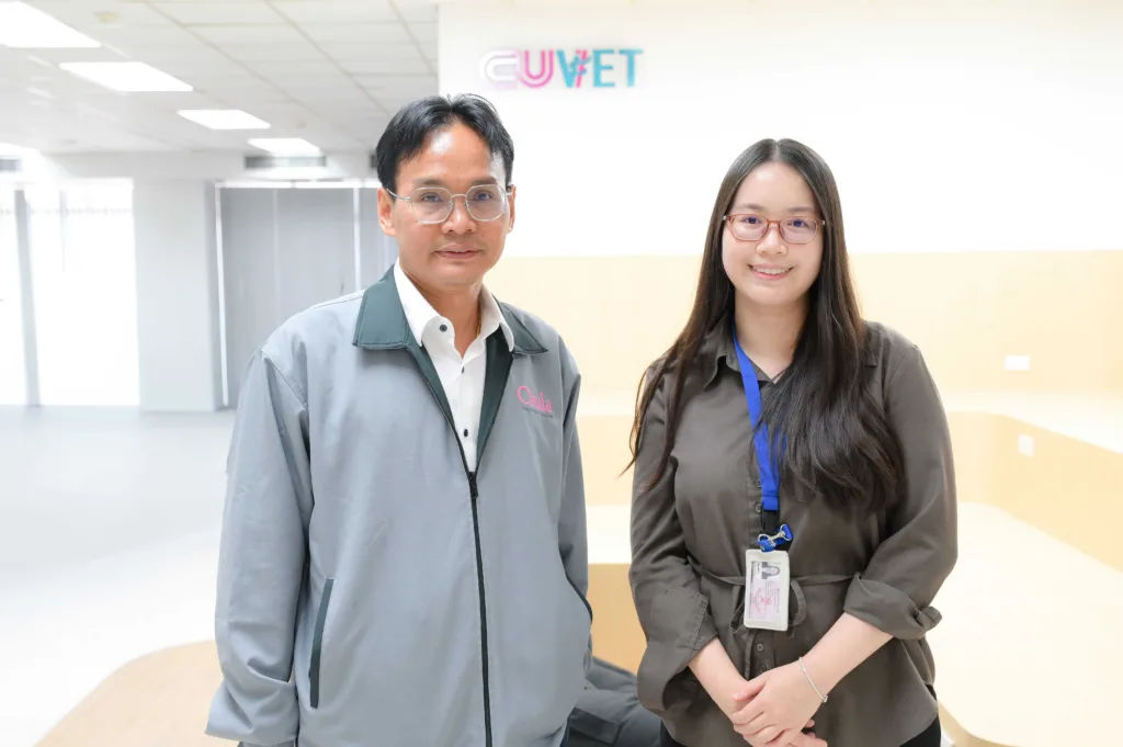 Research team: Professor Dr. Padet Tummaruk, D.V.M., lead researcher (left),
and Dr. Isaya Thaveesangsakulthai, Ph.D. (right), an expert in chemical communication.