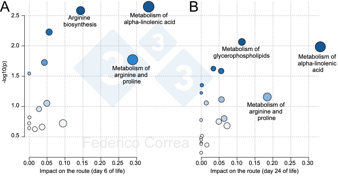<p>Figure 1. Metabolic pathways of colostrum associated with piglet survival during the lactation period. The figures show the main metabolic pathways of colostrum associated with piglet survival at 6 days (A) and 24 days (B). The size and color of the dots indicate the effect and significance of the metabolic pathways, respectively.</p>