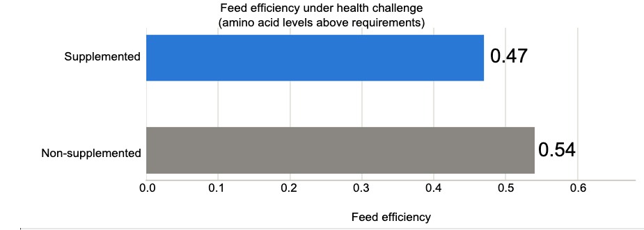 <p>Figure 3. Feed efficiency under health challenge for animals supplemented with amino acid levels exceeding tryptophan, methionine, and threonine requirements, and for non-supplemented animals. Source: Valini et al., 2024.</p>