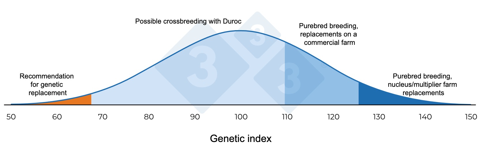 <p>Figure 1. Diagram of genetic management in insemination at the nucleus/multiplier farm.</p>
