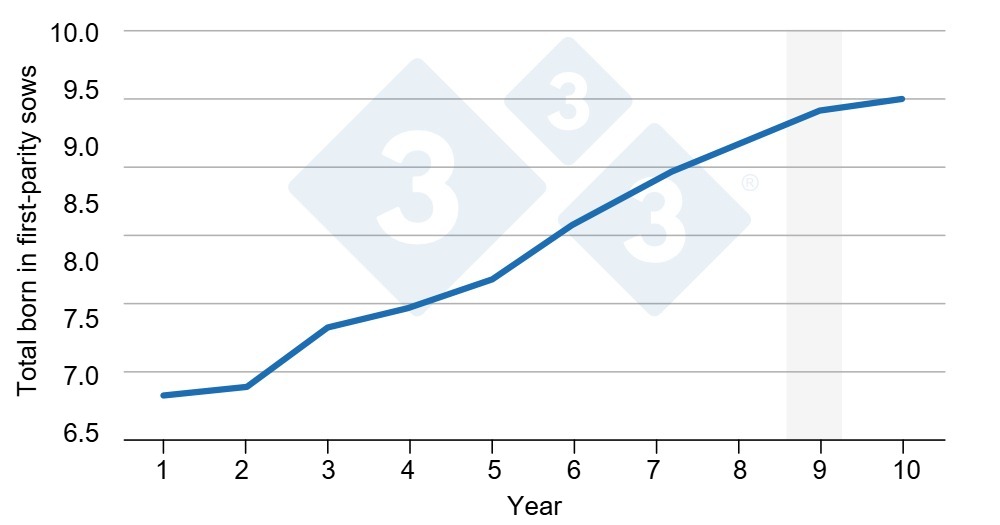 <p>Figure 2. Trend in total born for first-parity sows. Average trend in total born for first-parity&nbsp;sows over 10 years. Actual data from a pool of two multiplier farms, representing approximately 3,000 Iberian sows. The gray shading indicates when new lactation survival traits would be included.</p>
