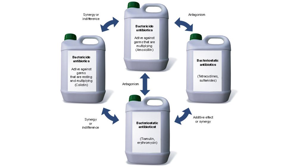 Synergic effect
