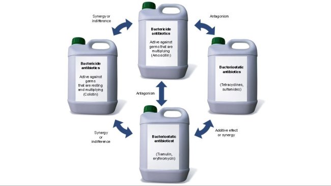 Synergic effect