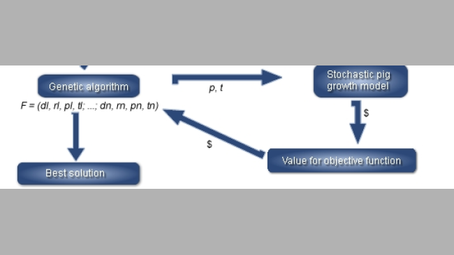 Overview of the simulation program linking a linear program for least-cost diet formulation, a stochastic pig growth model and a genetic algorithm (GA) to findthe best feeding strategy (F) for a given objective function in a specific market situation