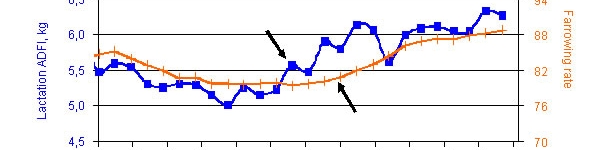 Sow feeding management during lactation (2/2): Management of feeding during lactation