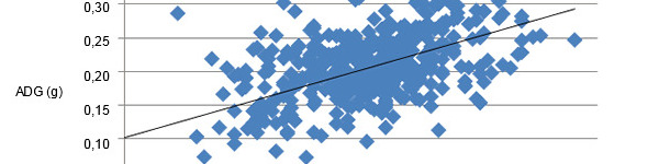 Relationship between the LW at birth and the subsequent growth