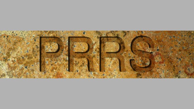 PRRS