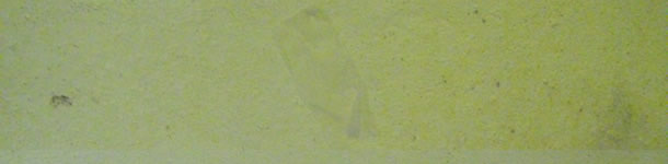 The piece of cigarette paper stuck to the wall shows an incomplete drying of the room