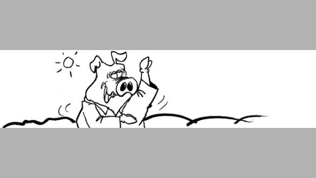 Karate Pig