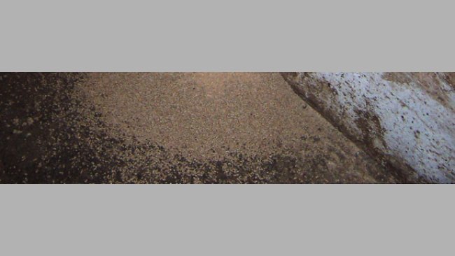Feed wastage