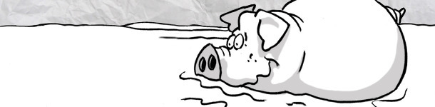 Pig bath