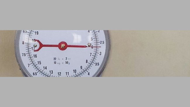 weighing the feed