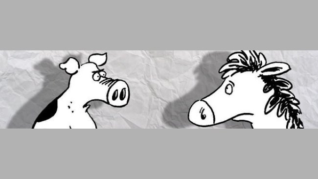 Pig and horse