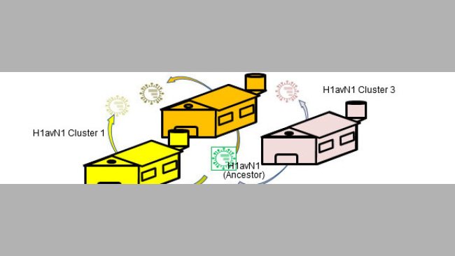Heterogenicidad genética y antigénica relacionada con la granja
