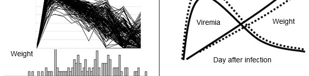 Skutki zakażenia PRRSV na poziomie populacji. Powyższa rycina przedstawia wiremię PRRSV (g&oacute;ra) i rozkład przyrost&oacute;w masy ciała (d&oacute;ł) u 200 świń zakażonych doświadczalnie PRRSV. 