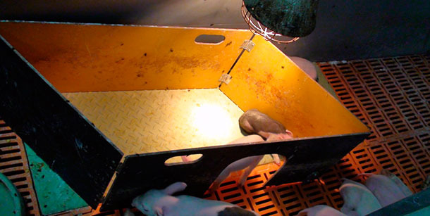 Pudełko, kt&oacute;re może pełnić funkcję skrzynki &mdash;z małym otworem od oddzeilania i otwarte pudełko
