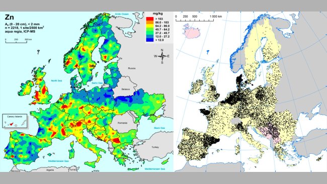 Po lewej: cynk w glebach uprawnych UE (Gemas 2014): Najwyższe poziomy cynku w glebie ( w górnych 20cm) na terenach uprawnych UE (źródło Reimann et al., 2014). Po prawej: stada loch w UE (Eurostat, 2014).