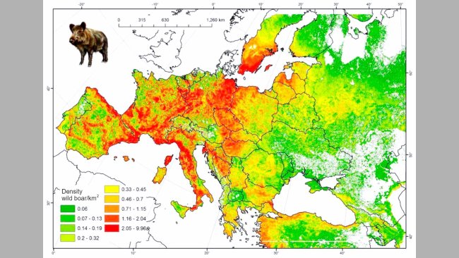 Figure 2. Estimated boar population in Europe. Source: FAO-ASFORCE, May 2015.