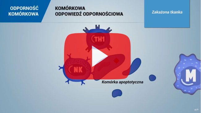 ODPORNOŚĆ KOMÓRKOWA