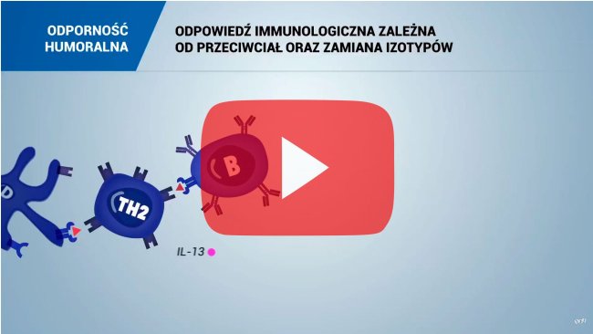 Specyficzna odporność humoralna