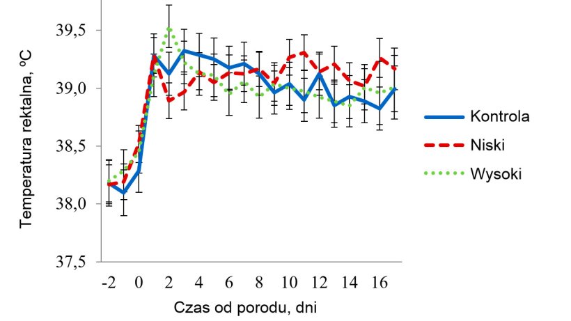 Wykres 5 - Temperatura rektalna u loch w pomieszczeniach z łagodnym stresem cieplnym. Temperatury wynosiły 27 &ordm;C w godz. 08.00-16.00 i 22 &ordm;C w pozostałych godzinach. Na RT wpływały (P < 0.038) pora dnia, dzień laktacji, Trt x Room, Trt x Time, Room x Time., dzień aktacji x temp. pomieszczenia i tr&oacute;jkierunkowa interakcja maty x temperatury pomieszczenia x pory dnia
