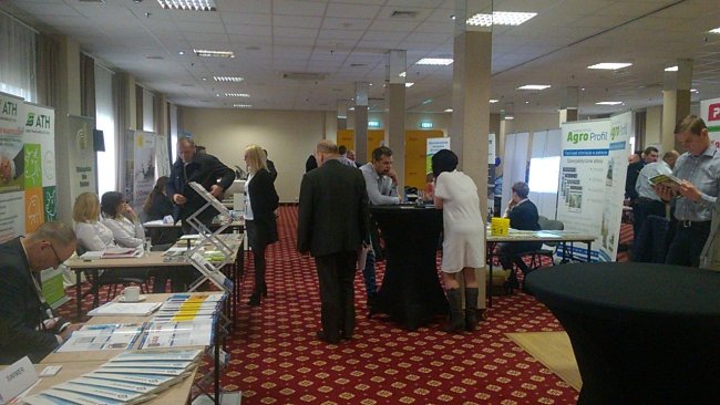 II Narodowy Dzień Świni 1