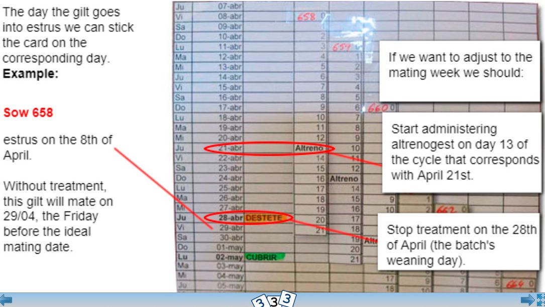 Remont i altrenogest
