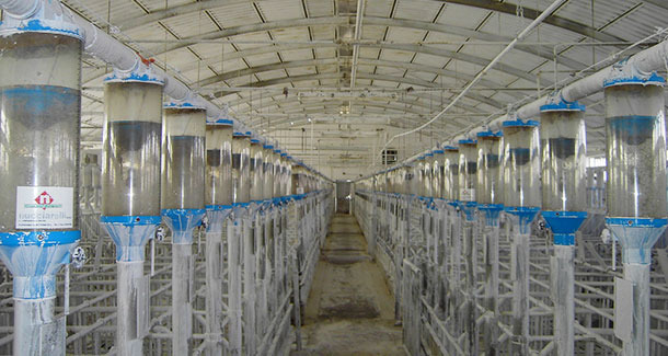 Bielony budynek kontroli ciąży. Widzimy, że przy niewielkim, naturalnym świetle wpadającym do budynku oświetlenie jest dobre.
