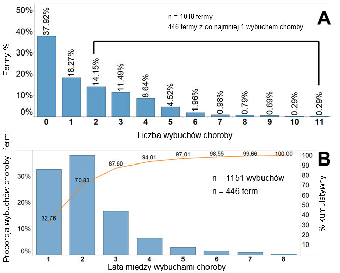 Wykres 2. Częstotliwość wybuch&oacute;w PRRS podawana w bazie danych Morrison Swine Health Monitoring Project (MSHMP). A. Odsetek / proporcja ferm według liczby ognisk zgłoszonych od 2009 r. B. Lewa oś: odsetek / proporcja kolejnych wybuch&oacute;w choroby podzielonych na kategorie według lat w subpopulacji gospodarstw, kt&oacute;re zgłosiły więcej niż jeden wybuch choroby.
