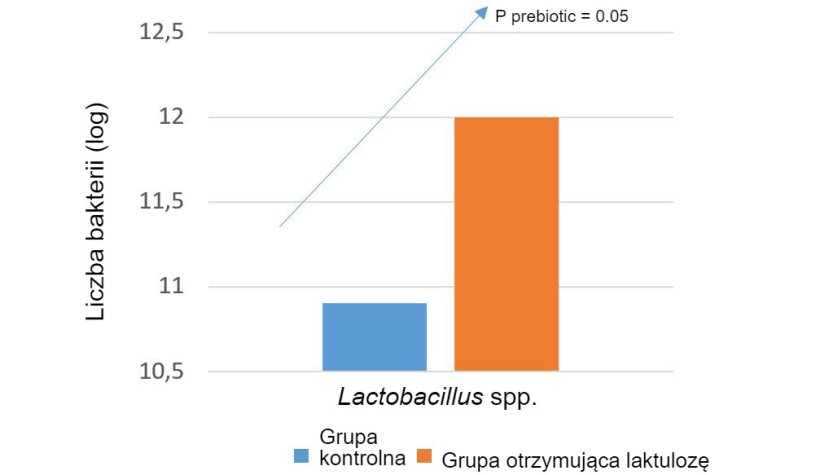 Prebiotyki można zastosować w celu zwiększenia populacji bakterii najlepiej oddziałujących na organizm zwierzęcia. Przykładowo, laktuloza zwiększa liczebność Lactobacillus spp. War et al. 2014.
