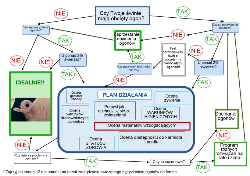 Drzewo decyzyjne stworzone przez ANPROGAPOR
